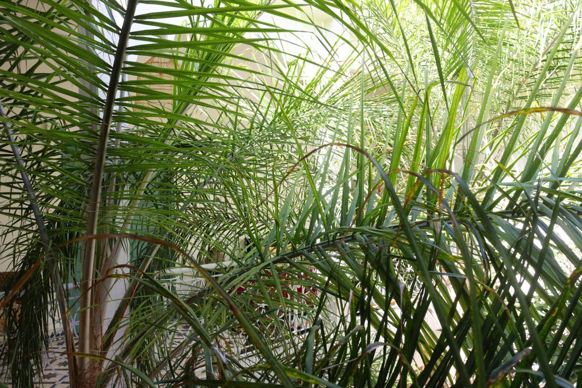 Riad Naanaa Bed & Breakfast Μαρακές Εξωτερικό φωτογραφία