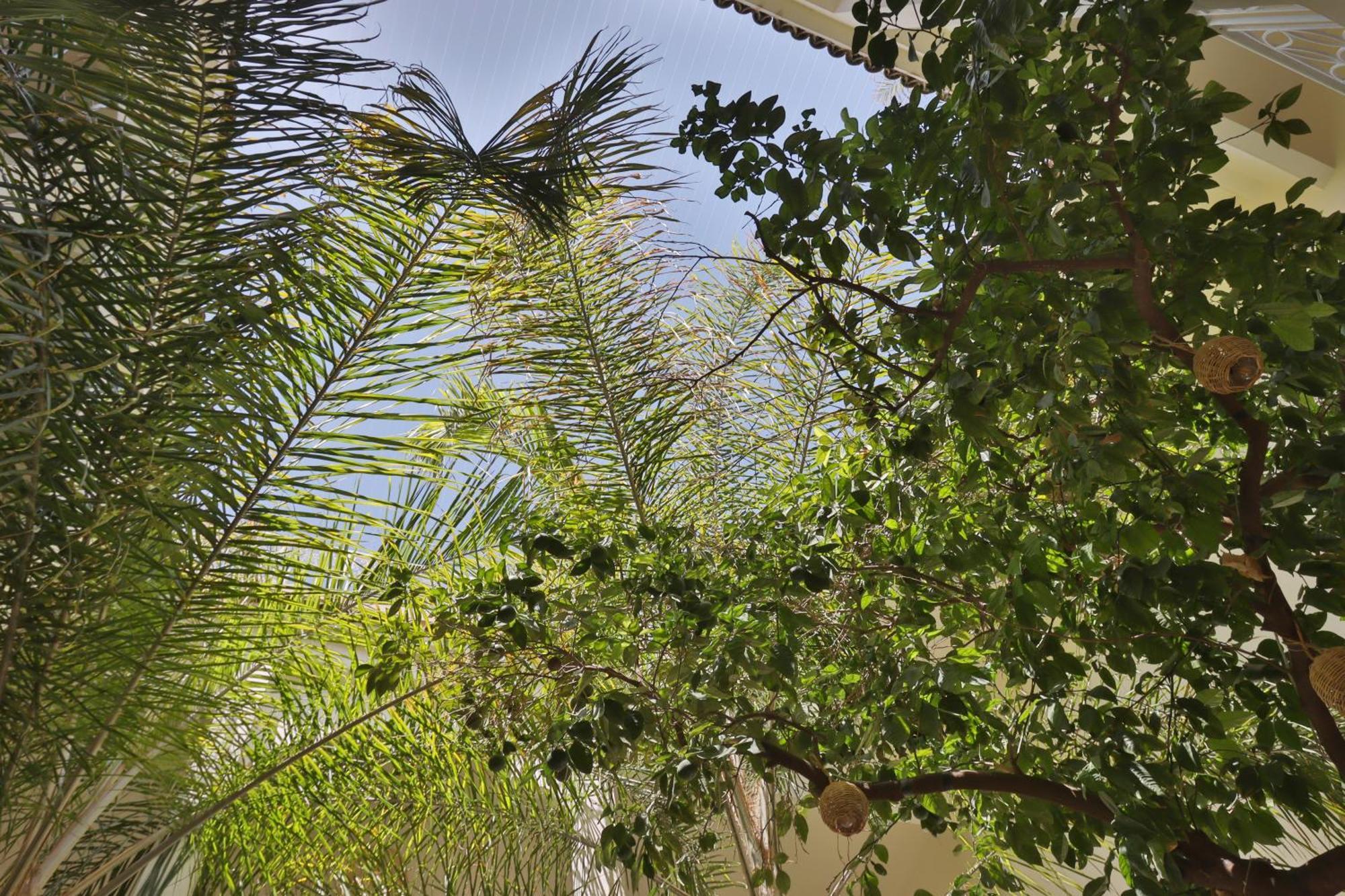 Riad Naanaa Bed & Breakfast Μαρακές Εξωτερικό φωτογραφία